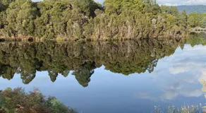 Bush Nook - Image 5