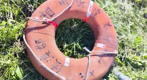 Harbor base SHARK - Image 5