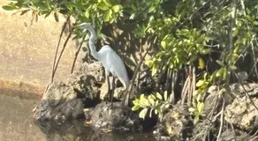 Cardinal vacations - Image 5