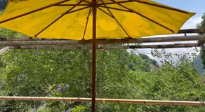 Forest whisper Retreat - Image 3