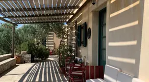 AMPELIA KYTHIRA - Image 4