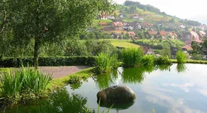 Schnurrenhof - Image 5