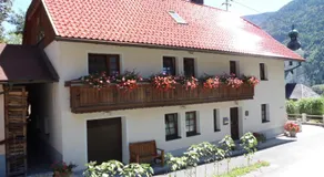 Fewo Lenz Ferienwohnung beim Pressegger See - Image 4