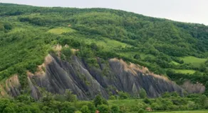 La Grădina - Image 4