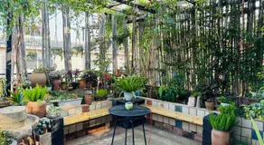 Kunming Yi mo hostel-Free pickup from and to Western Hill Park Subway st - Image 3