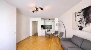 Central Vienna Apartment - Image 3
