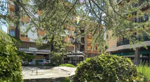Flor de Nieve - Image 5