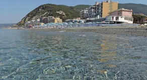 Palmaria - Image 3