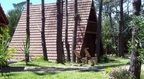 alpinas lapaloma - Image 3