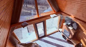 Cabana AFrame Olanesti - Image 4