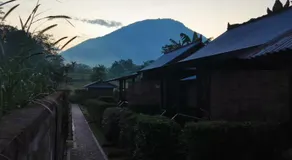 The Bocah Desa Village - Image 4