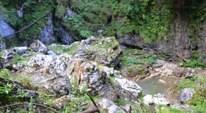 Pension Schweiger - Image 4