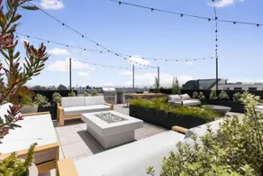 Modern Apartment Rentals - Image 5