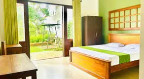 The Pinnacle Life - Image 2