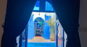 Riad Chameleon - Image 4