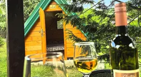 Seosko domaćinstvo STAREVINA - Image 3