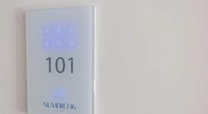 Numero36 - Image 5