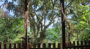 Finca Lindos Ojos - Image 4