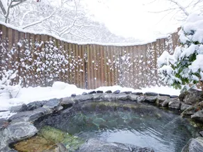 Hanamaki-dai Hot Spa Hotel San-emon - Image 2