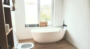 Mi casa es su casa - Image 4