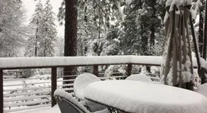 Uncle Grizz's Cabin...get intouch with nature - Image 4