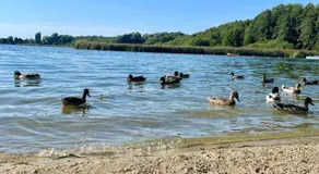 całoroczny dom z sauną nad jeziorem Rudnik - Image 4