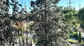 Nel cuore etrusco dell'Umbria - Image 5