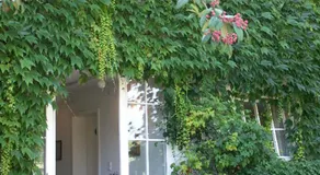 Landhaus Ettenbühl Bed and Breakfast - Image 2