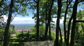 Villa Aux Chênaies - Image 5