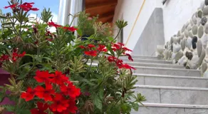 Hotel Apostoli - Image 5