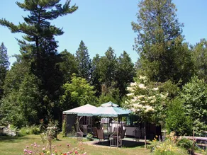 Cedarwood Lodge - Image 4
