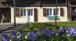 2 Zimmerwohnung Homestay Brienz Spanischgässli - Image 4