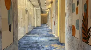 Elite 5 star - Image 4