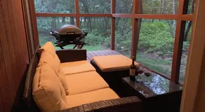 Ash Cottage in Poconos near Camelback & Kalahari - Image 3