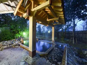 Sagara Onsen Sayuri - Image 2