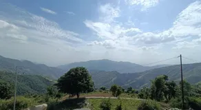 Hill view - Image 5