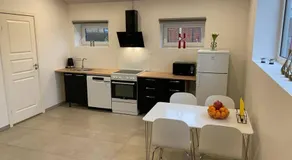 Small Rica house in the center in Billund - Image 3