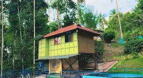Wayanad Coffee Vintage - Image 5
