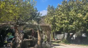 Ancient Norba's House - Casa dell' Antica Norba - Image 4