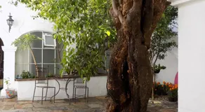 Hotel Casa San Miguel - Image 5