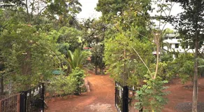 Shilaj - Image 5