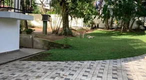 GREEN Palace - Image 2