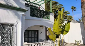 Santa Úrsula 66 - Image 4