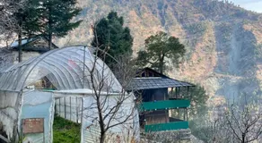 Pachamama Homestay - Image 3
