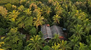 Wild View Stay - Image 4