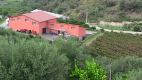 Il Casale Vasari - Image 5