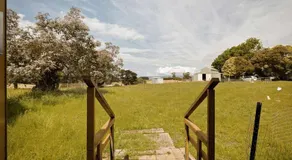Lazy Daisy Farm by Tiny Away - Image 4
