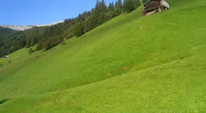 Grünwaldhof - Image 3