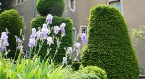 Hôtel particulier Maleteste - Image 4