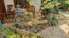 Arnel Bungalows - Image 5